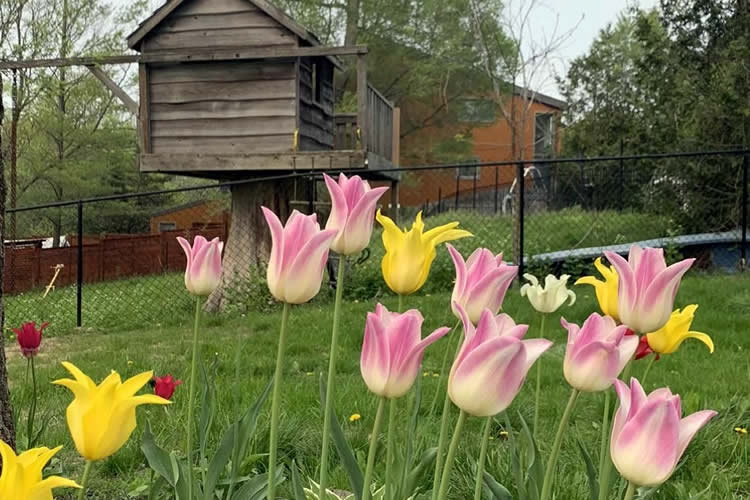 要繼承香港人在內(nèi)地的遺產(chǎn)怎么辦理親屬關(guān)系及遺囑狀況聲明書轉(zhuǎn)遞公證呢？ 