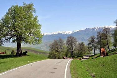 加拿大籍華人要在國內(nèi)貸款買房怎么辦理加拿大護(hù)照翻譯公證認(rèn)證？