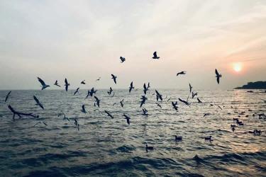 要繼承香港父母在內(nèi)地遺產(chǎn)所需要的公證親屬關(guān)系及遺囑狀況聲明書怎么辦理？