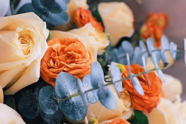 香港死亡證加章轉(zhuǎn)遞公證用于在廣州辦理遺產(chǎn)繼承公證書(shū)