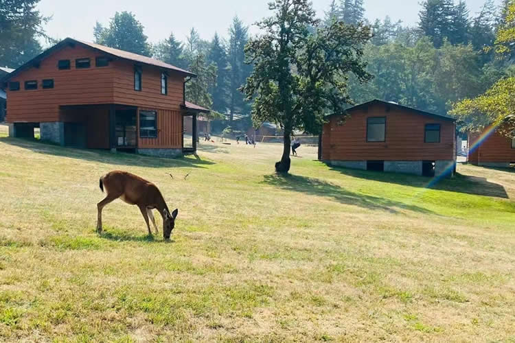 香港結(jié)婚證公證用于在內(nèi)地辦理配偶死亡公證書(shū)