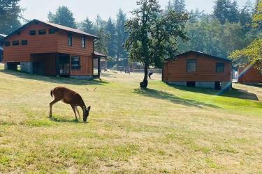 香港結(jié)婚證公證用于在內(nèi)地辦理配偶死亡公證書(shū)