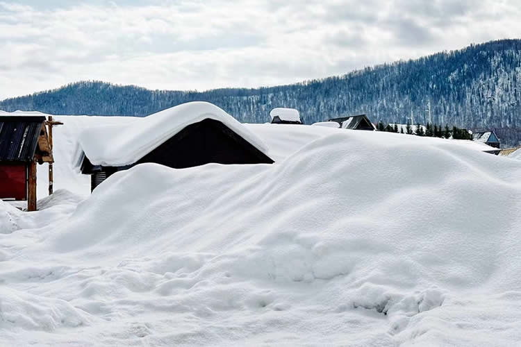 香港子女要放棄繼承內(nèi)地父母在內(nèi)地的遺產(chǎn)怎么辦理轉(zhuǎn)遞聲明公證書呢？