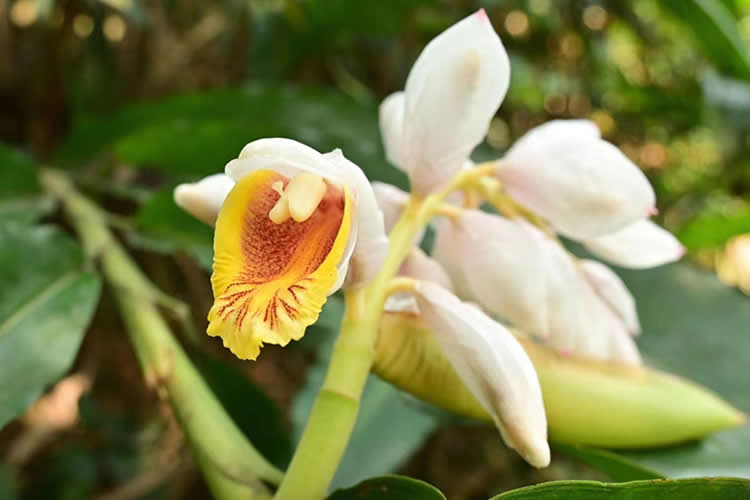 香港人要把內(nèi)地的房產(chǎn)加上配偶名字怎么做香港結(jié)婚證公證呢？