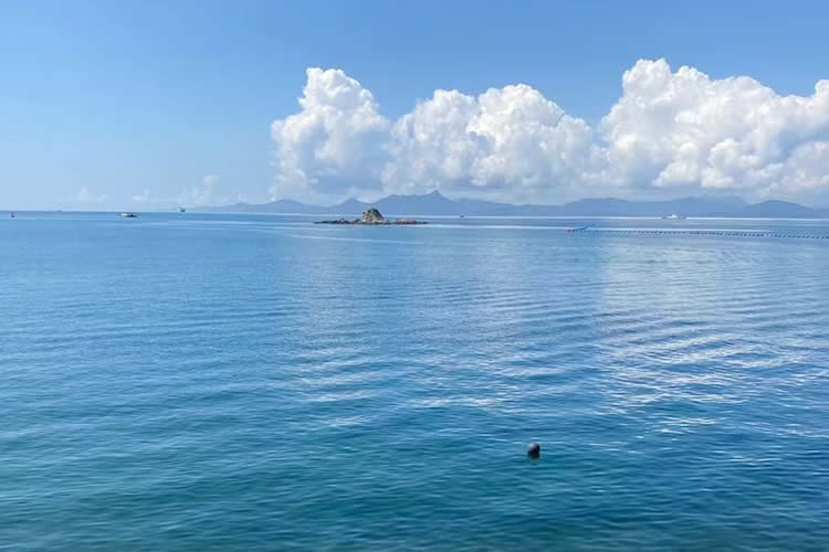 香港公司要在山東省青島市設(shè)立外商投資企業(yè)怎么辦理簡(jiǎn)化版香港公證文書呢？