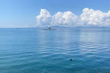 香港公司要在山東省青島市設立外商投資企業(yè)怎么辦理簡化版香港公證文書呢？