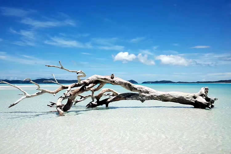 香港親屬關系及遺囑狀況聲明書公證用于在廣州辦理房產(chǎn)轉(zhuǎn)名手續(xù)