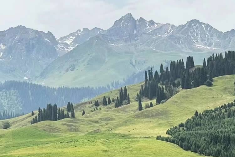 在美國的臺灣同胞如何辦理中國內(nèi)地無犯罪記錄公證書用于申請美國簽證？