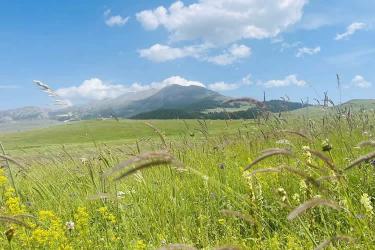 中國公民在美國離婚現(xiàn)要更改婚姻狀況怎么辦理美國離婚判決書海牙認(rèn)證？