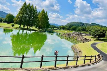 比利時出生紙怎么辦理香港海牙認(rèn)證用于在澳門讀書呢？