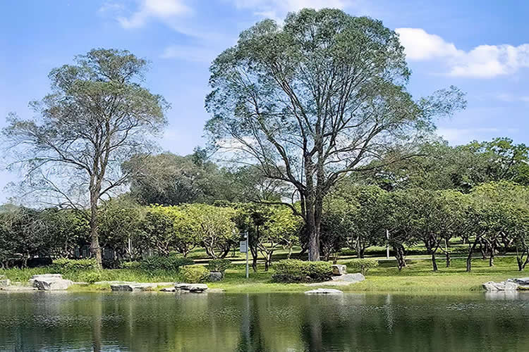 香港籍丈夫在內(nèi)地死亡，配偶要繼承遺產(chǎn)怎么辦理親屬關(guān)系及遺囑狀況聲明書公證呢？