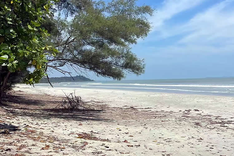 香港夫婦要出售內(nèi)地的房產(chǎn)怎么辦理婚姻及家庭狀況聲明書(shū)公證呢？