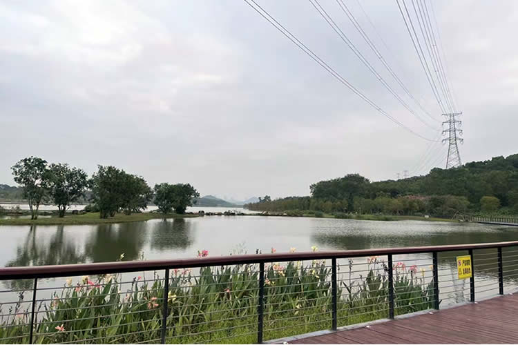 香港居民如何辦理放棄個人房產份額聲明書公證呢？