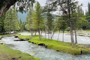 中國公民要在越南設(shè)立公司怎么在香港辦理中國護照越南公證雙認(rèn)證手續(xù)呢？