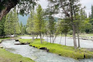 內(nèi)地居民取得香港永居身份后，如何合法有效處理內(nèi)地的資產(chǎn)呢？