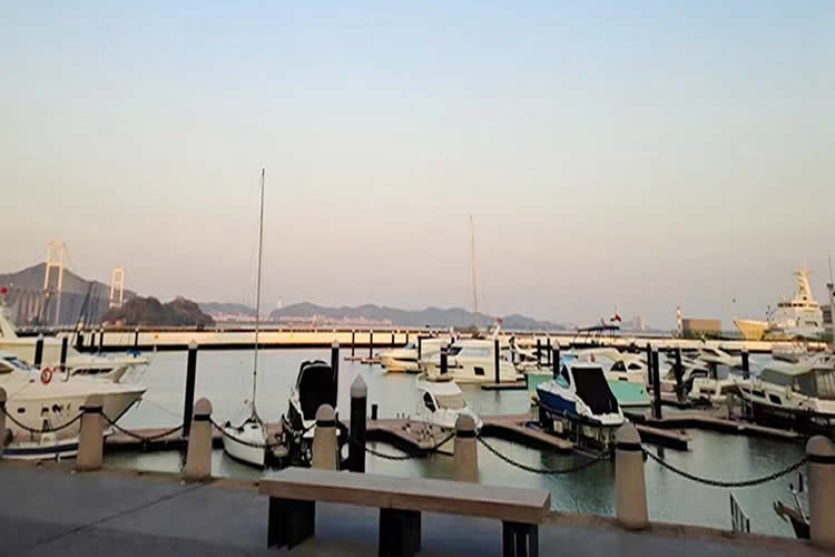 非香港公司董事決議聲明書公證用于召開股東會議出售股權