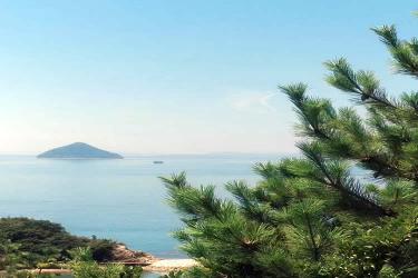 堂侄子要繼承香港姑媽去世后的內(nèi)地遺產(chǎn)怎么做親屬關(guān)系及遺囑狀況聲明書(shū)公證呢？