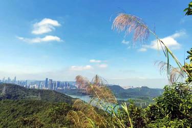 香港人怎么辦理中國內(nèi)地出生公證海牙認(rèn)證用于移民新加坡呢？