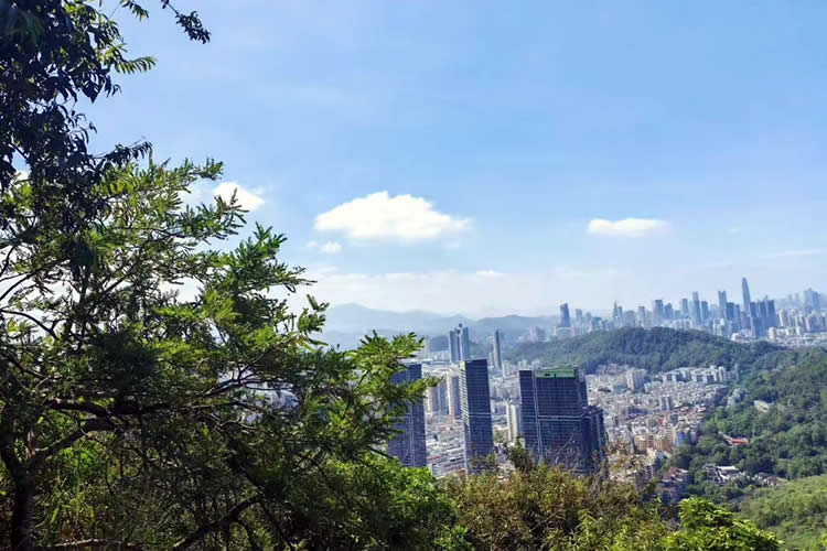 香港公司全套公證用于在新疆維吾爾自治區(qū)阿克蘇市辦理收購(gòu)股權(quán)