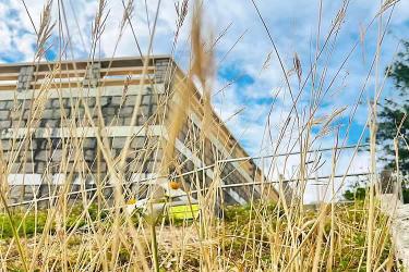  香港個(gè)人授權(quán)委托書公證用于委托配偶出售未成年子女的內(nèi)地房產(chǎn)