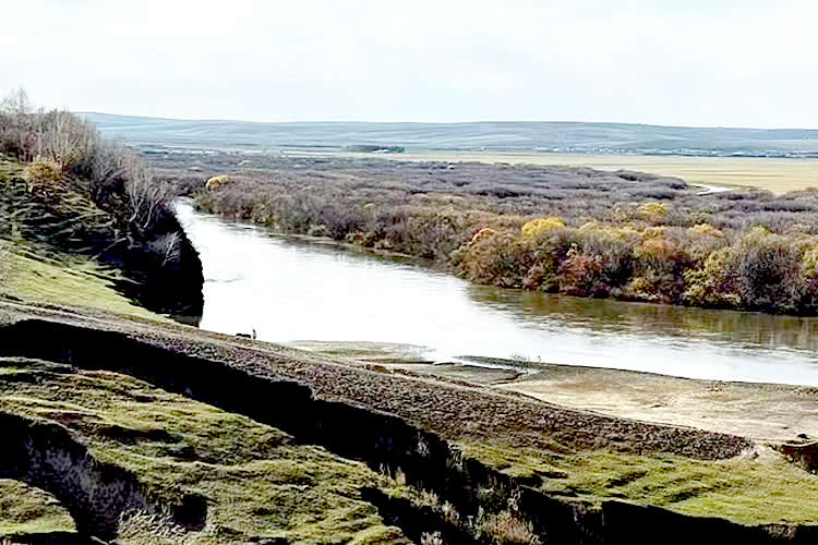 內(nèi)地出生的香港人怎么做出生公證用于申請圣基茨和尼維斯護照呢？